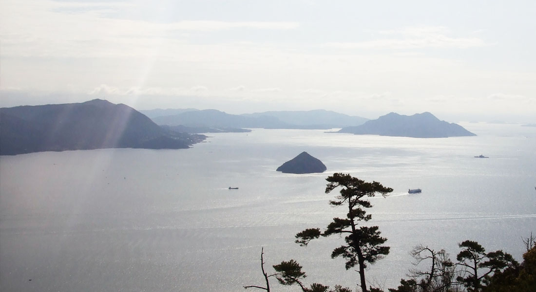 #20